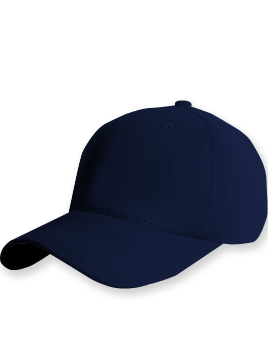 cap (embroidery) cap (embroidery)